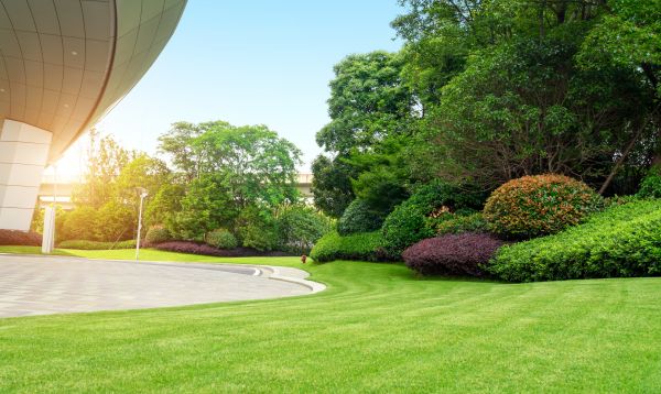 Commercial Lawn Mowing in Rogers