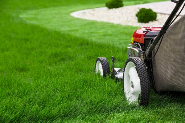 Lawn Cutting Service in Rogers