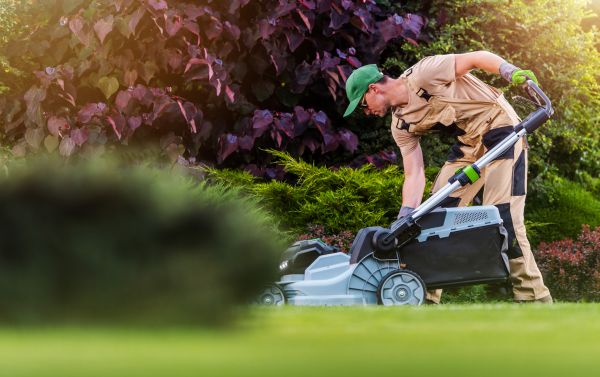 Yard Care Service in Rogers