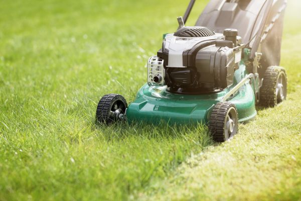 Yard Cutting in Rogers