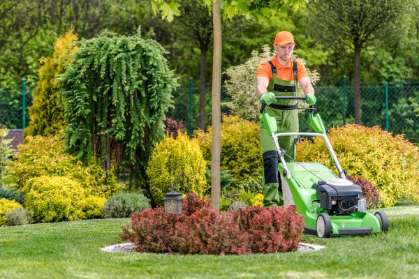 Yard Service in Rogers