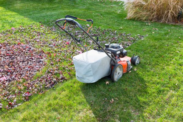 Seasonal Lawn Care in Rogers