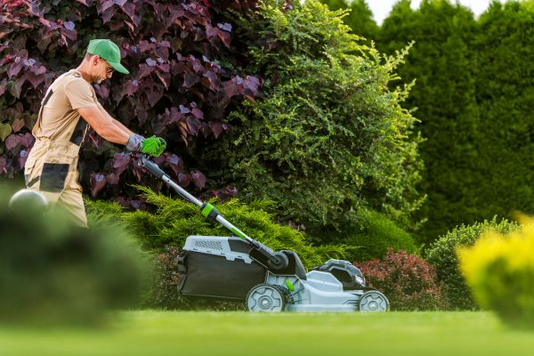 Lawn Management in Rogers