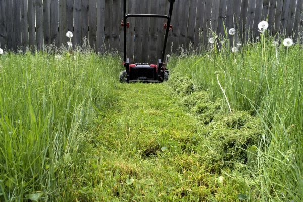 High Grass Mowing in Rogers