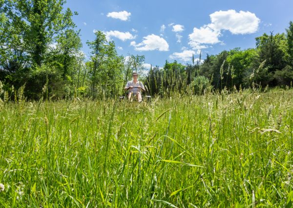 Long Grass Mowing in Rogers