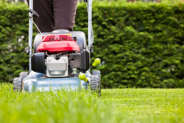 Grass Trimming Service in Rogers