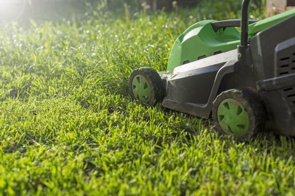 Lot Mowing in Rogers