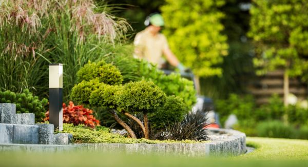 Residential Yard Maintenance in Rogers
