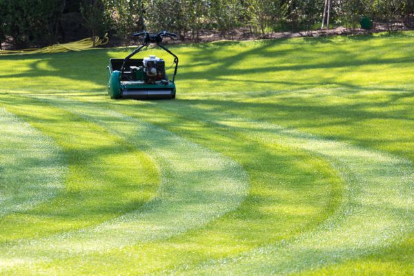 Business Lawn Mowing in Rogers