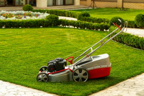Business Grass Cutting in Rogers