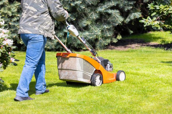 Springtime Lawn Care in Rogers