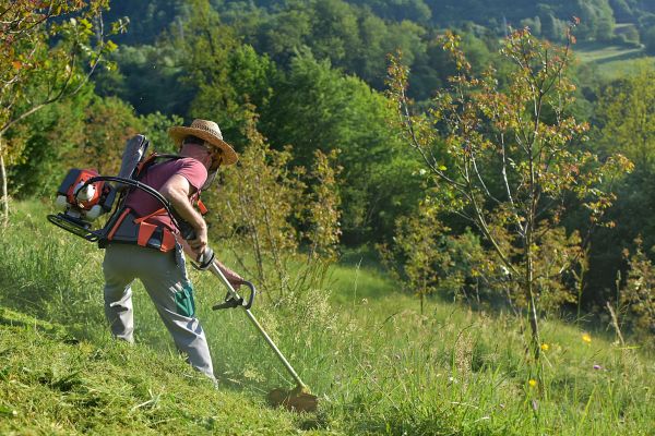 Slope Mowing in Rogers