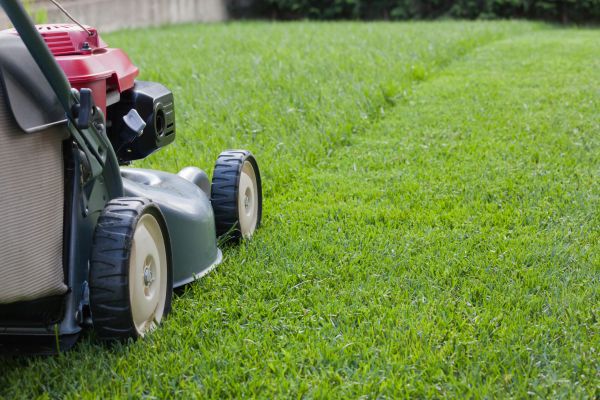 Spring Lawn Maintenance in Rogers