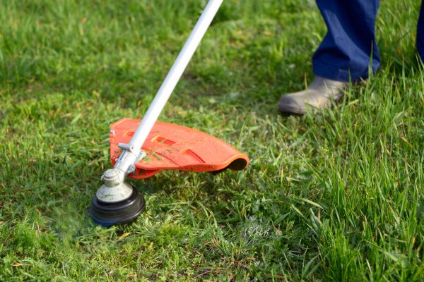 Lawn Weed Whacking in Rogers