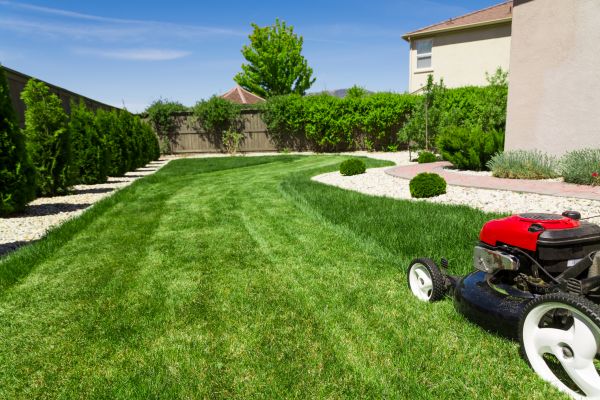 Residential Lawn Mowing in Rogers