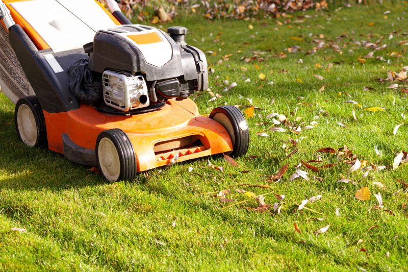 Leaves Mowing